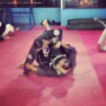 /album/gracie-jiu-jitsu/a1975073-1420701381516265-547233848-n-jpg/