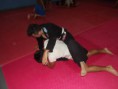 /album/gracie-jiu-jitsu/a10171257-1428182027434867-4465269828764649170-n-jpg/