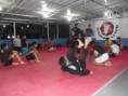 /album/gracie-jiu-jitsu/a10290703-1428181917434878-4183202231916367042-n-jpg/